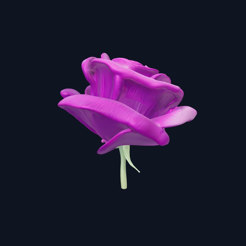Rosa Purple Rose Velvety Texture Model Pack